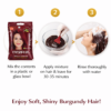 Everplus Burgundy Henna Powder