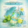 Mint & Lime ice Shower gel ingredients