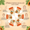 Gemini_Generated_Image_nso8sgnso8sgnso8 Primus Papaya 6-Step Facial Kit | Brightening Facial Kit for Glowing & Radiant Skin (53gm)